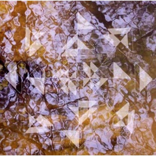Koen Holtkamp - Liquid Light Forms - LP Vinyl