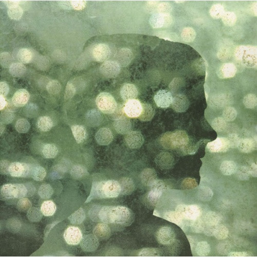 Benoit Pioulard - PreciBenoit Pioulardemper - 2x LP Vinyl