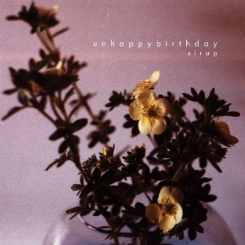 Unhappybirthday - Sirup - LP Vinyl