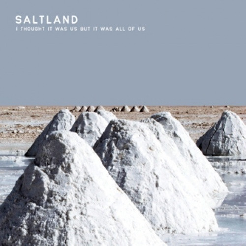Saltland - I Thought It Was us But it Was All Of us - LP Vinyl