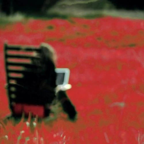 Gudrun Gut - Going Up The Contry - 7" Vinyl