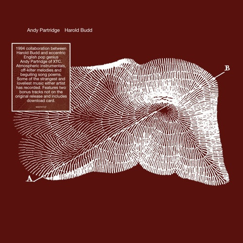 Andy Partridge & Harold Budd - Through The Hill - 2x LP Vinyl