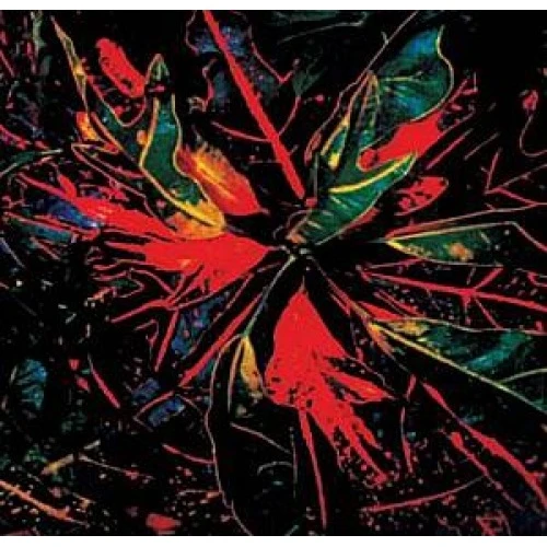 Jay Daniel - Karmatic Equations - 2x LP Vinyl
