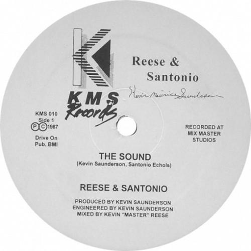 Reese & Santonio - The Sound / How To Play Our Music - 12" Vinyl