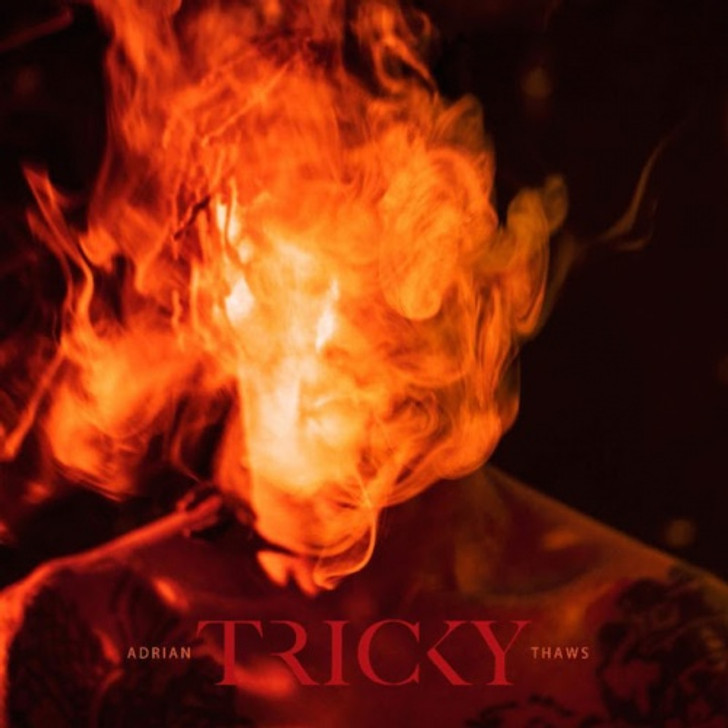 Tricky - Adrian Thaws - 2x LP Vinyl+CD