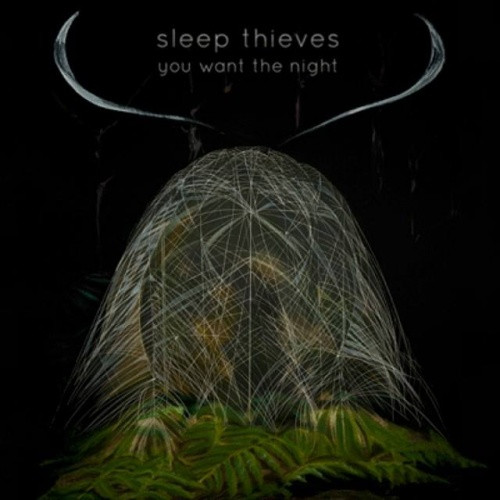 Sleep Thieves - You Want The Night - LP Vinyl