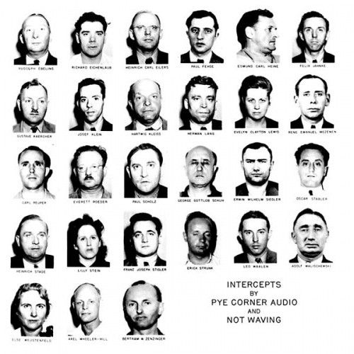 Pye Corner Audio / Not Waving - Intercepts - LP Vinyl