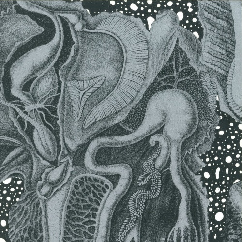 CV313 - Dimensional Space - 3x LP Vinyl