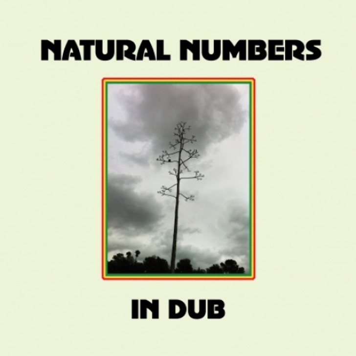 Natural Numbers - In Dub - LP Vinyl