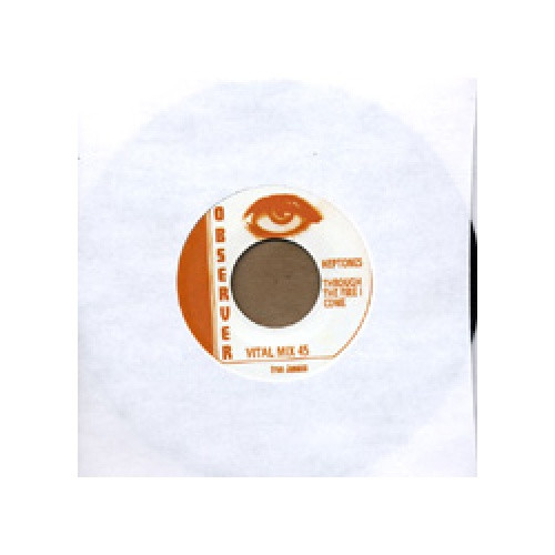 Heptones  - Through the Fire I Come - 7" Vinyl 