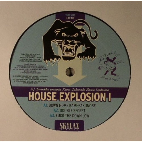 DJ Sprinkles pres K-S.H.E. - House Explosion 1 - 12" Vinyl