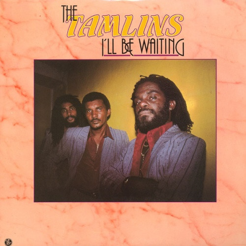 Tamlins - I'll Be Waiting - LP Vinyl 