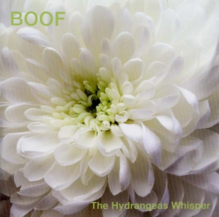 Boof - The Hydrangeas Whisper - 2x LP Vinyl