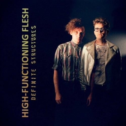 High-Functioning Flesh - Definite Structures - LP Vinyl