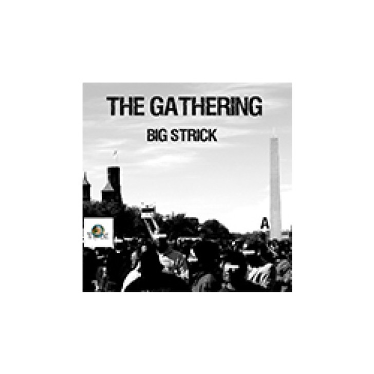 Big Strick - The Gathering - 12" Vinyl