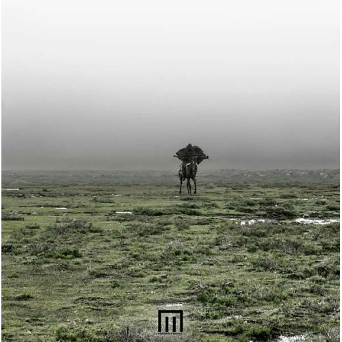 Markus Wormstorm - Figure In Field - LP Vinyl
