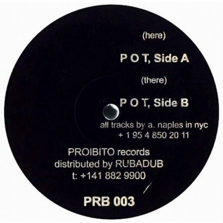 Anthony Naples - P O T - 12" Vinyl