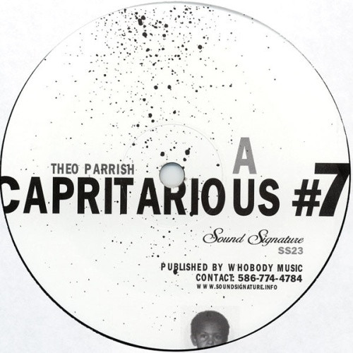 Theo Parrish - Capricious #7 - 2x LP Vinyl