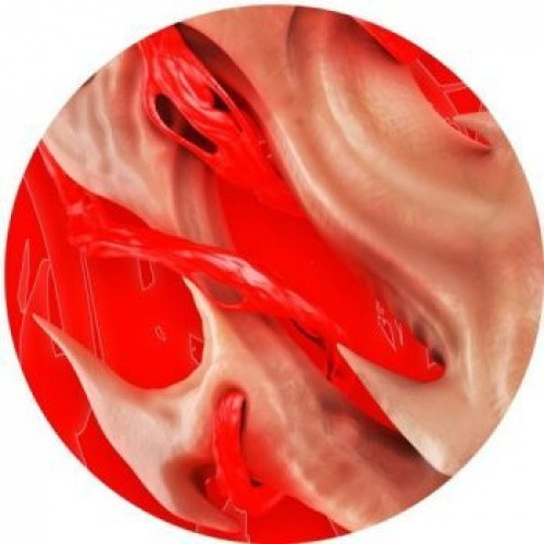 Endgame - Flesh Ep - 12" Vinyl