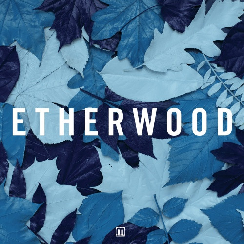 Etherwood - Blue Leaves - 2x LP Vinyl+CD