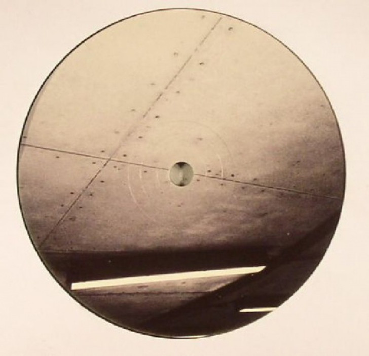 Paleman - Yrs Ago / Animus - 12" Vinyl