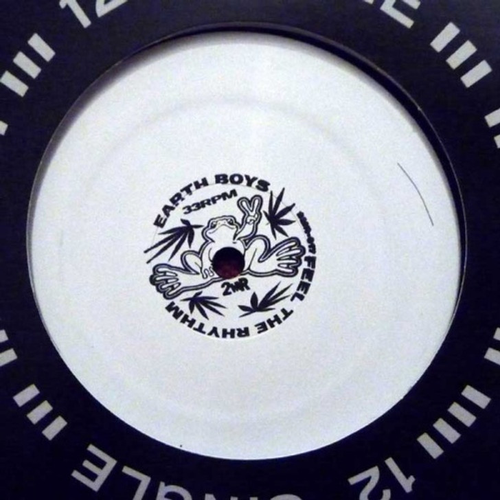 Earth Boys - Feel The Rhythm Ep - 12" Vinyl