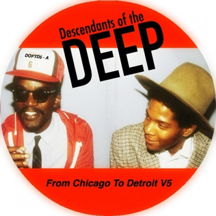 Various Artists - From Chicago To Detroit Vol. 5 - 12" Vinyl