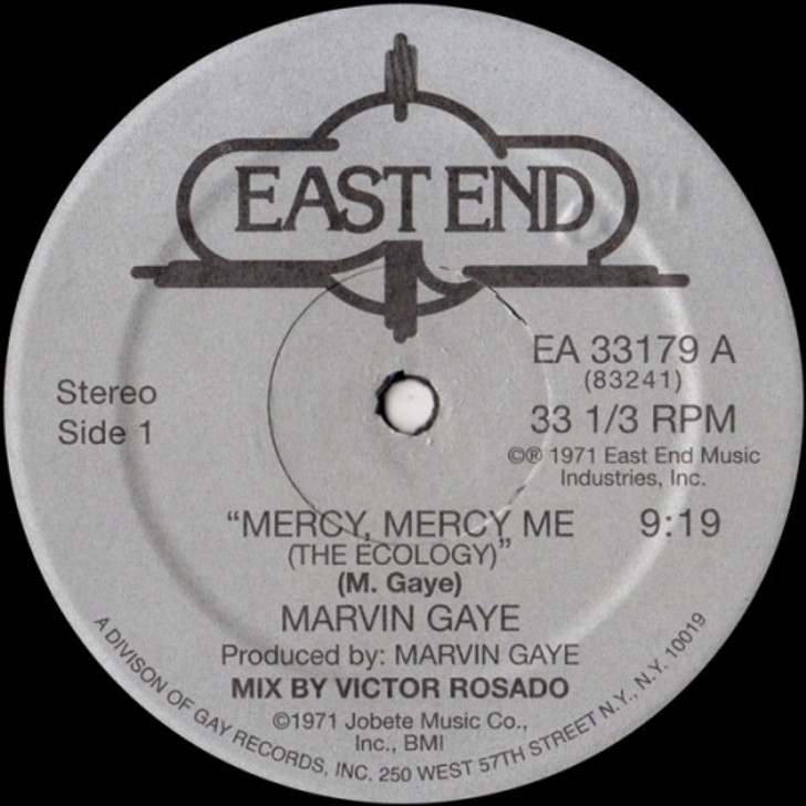 Marvin Gaye - Mercy, Mercy Me (The Ecology) - 12" Vinyl