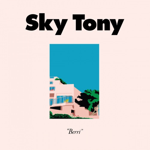 Sky Tony - Berri - 12" Vinyl