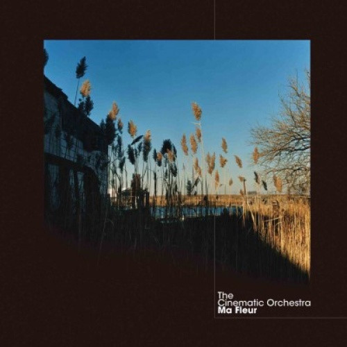 The Cinematic Orchestra - Ma Fleur RSD - 2x LP Colored Vinyl