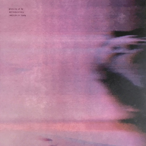 Kettenkarussell - Insecurity Guard - 2x LP Vinyl