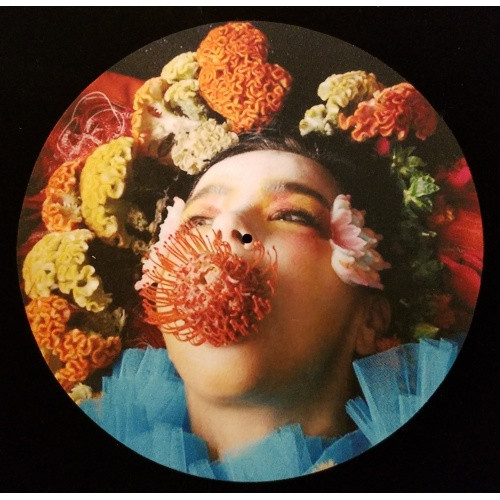 Bjork - Dazed Cover - Single Slipmat