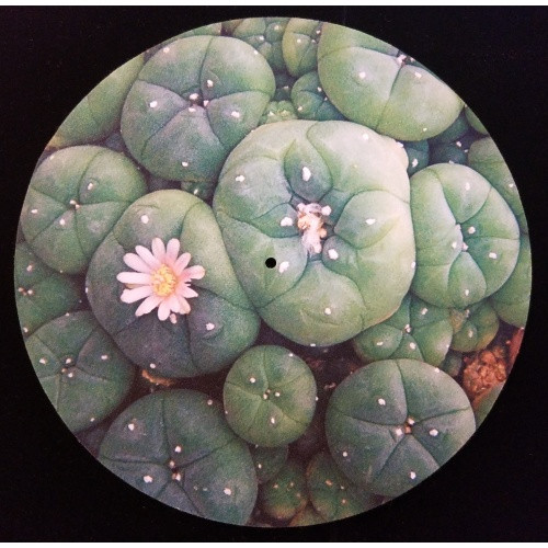 Peyote - Buttons - Single Slipmat