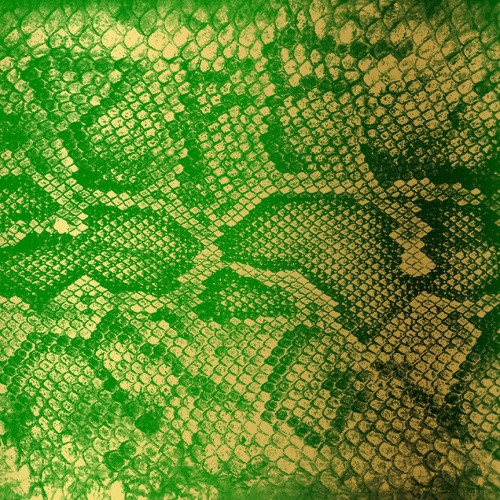 Zackey Force Funk - Money Green Viper - LP Vinyl