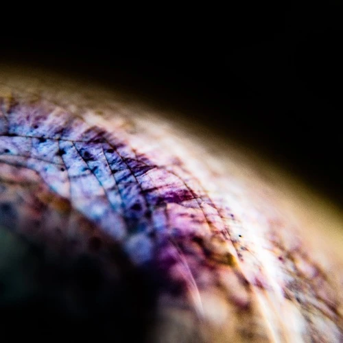 Emptyset - Skin - 12" Vinyl