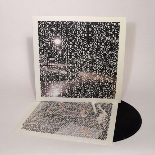 Panda Bear - A Day With The Homies - 12" Vinyl