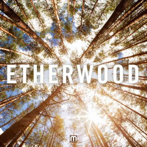 Etherwood - Etherwood - LP Vinyl+CD