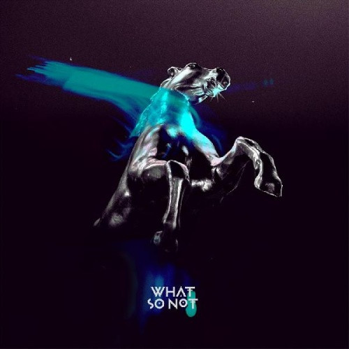 What So Not - Not All The Beautiful Things - 2x LP Vinyl
