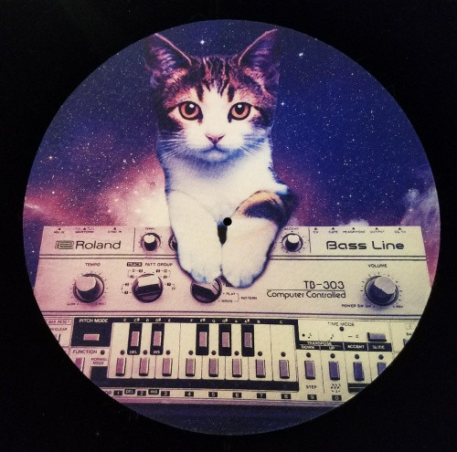 Cats On Synthesizers In Space - Roland TB-303 - Single Slipmat