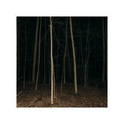 Express Rising - Fixed Rope II - LP Vinyl