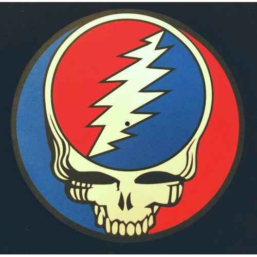 The Grateful Dead - Steal Your Face - Single Slipmat