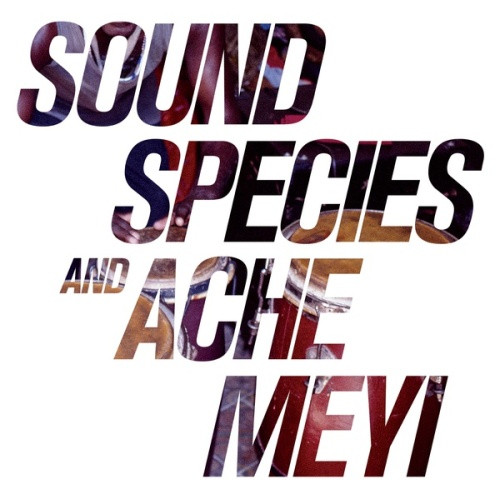 Soundspecies & Ache Meyi - Soundspecies & Ache Meyi - 2x LP Vinyl