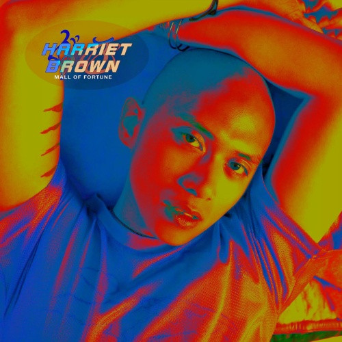 Harriet Brown - Mall Of Fortune - LP Vinyl