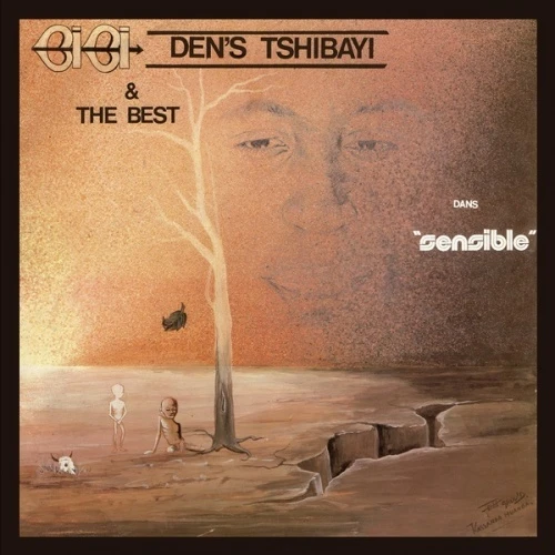 Bibi Den's Tshibayi - Sensible - LP Vinyl