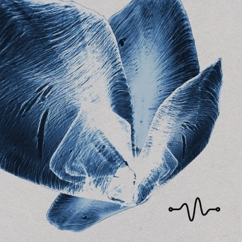 Various Artists - Oscillate Tracks 002 - 12" Vinyl