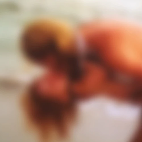 Special Request - Bedroom Tapes - 2x LP Vinyl