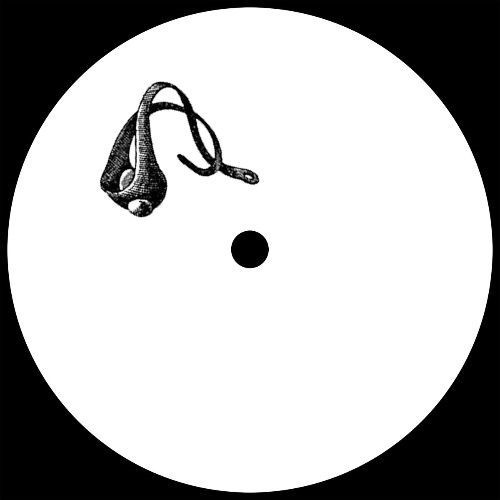 Holsten / Artilect - Carrier Wave / Echos - 12" Vinyl