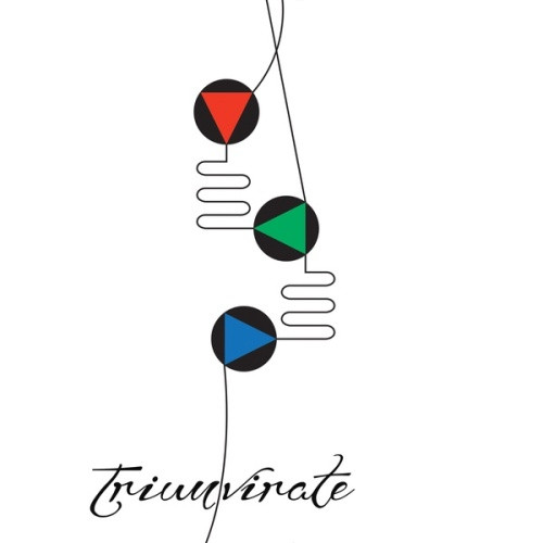 Carter Tutti Void - Triumvirate - LP Vinyl