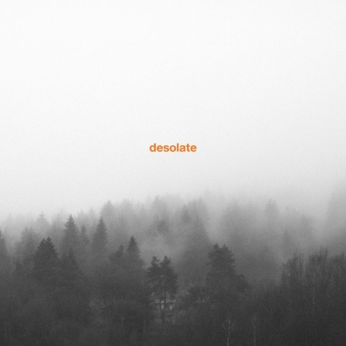 Desolate - Exceptionalism - 2x LP Vinyl