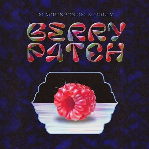 Machinedrum & Holly - Berry Patch - 12" Vinyl